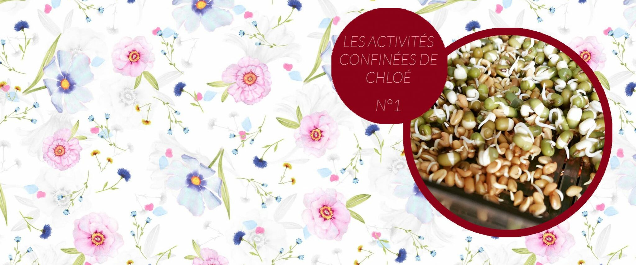 ActivitesCHLOE-1-2048×859