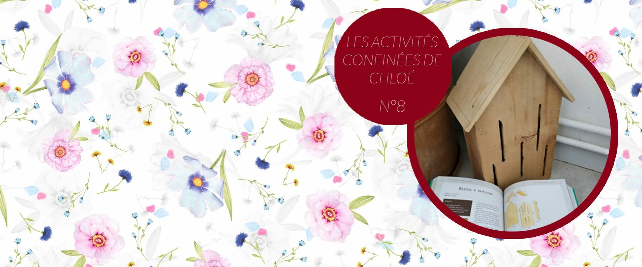 ActivitesCHLOE-8-2048×859