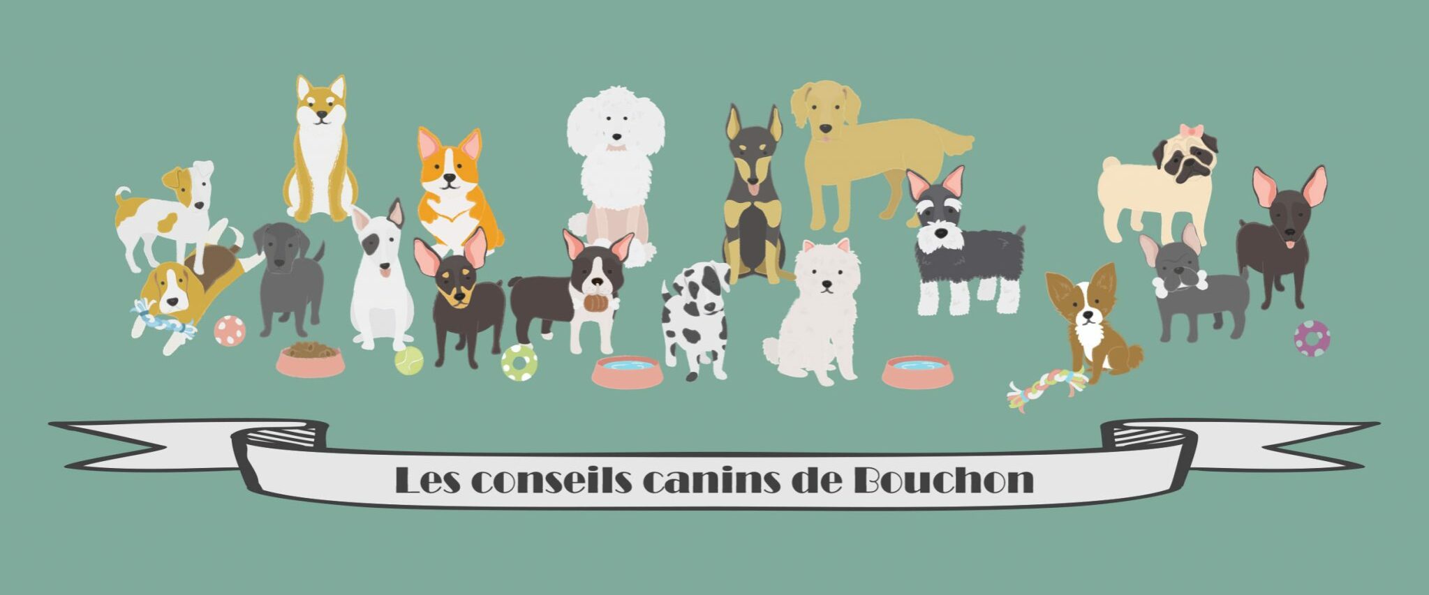 CC_Bouchon1-2048×859 (1)