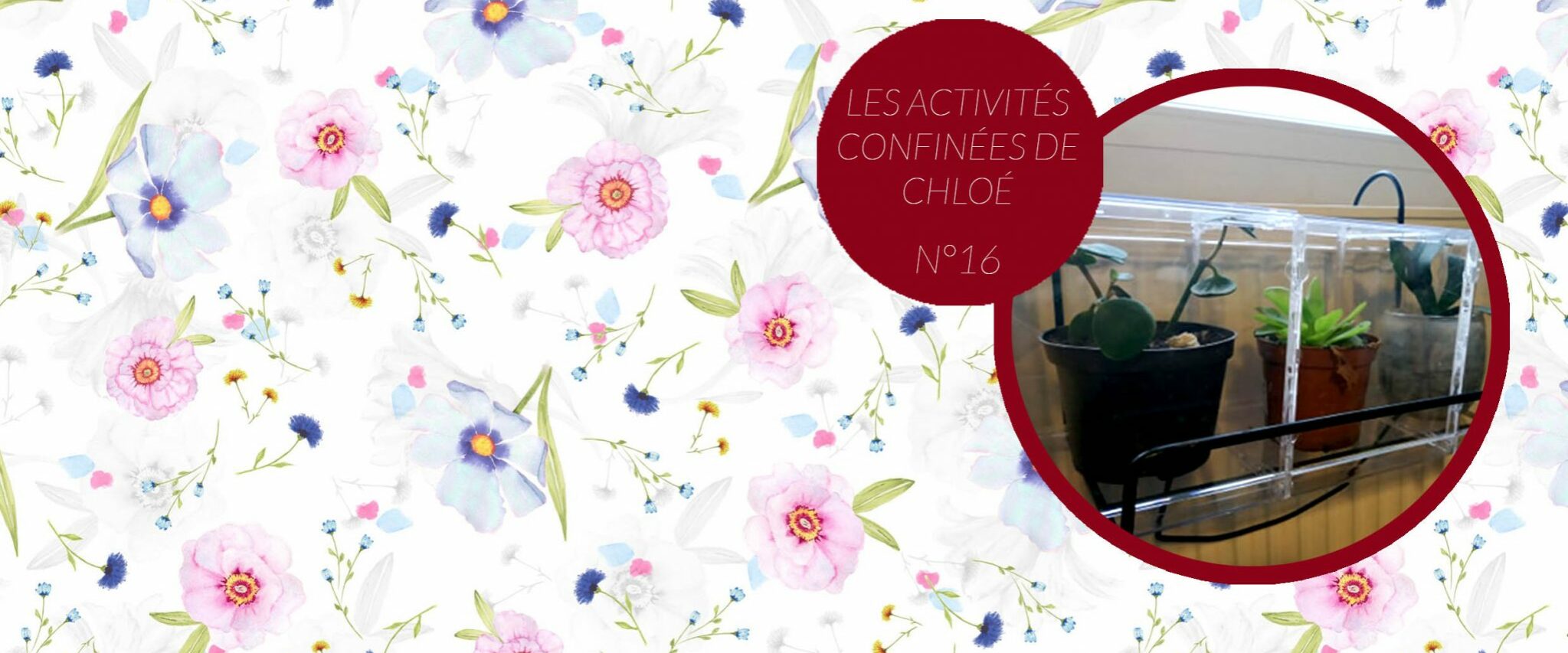 ActivitesCHLOE-16-2048×859