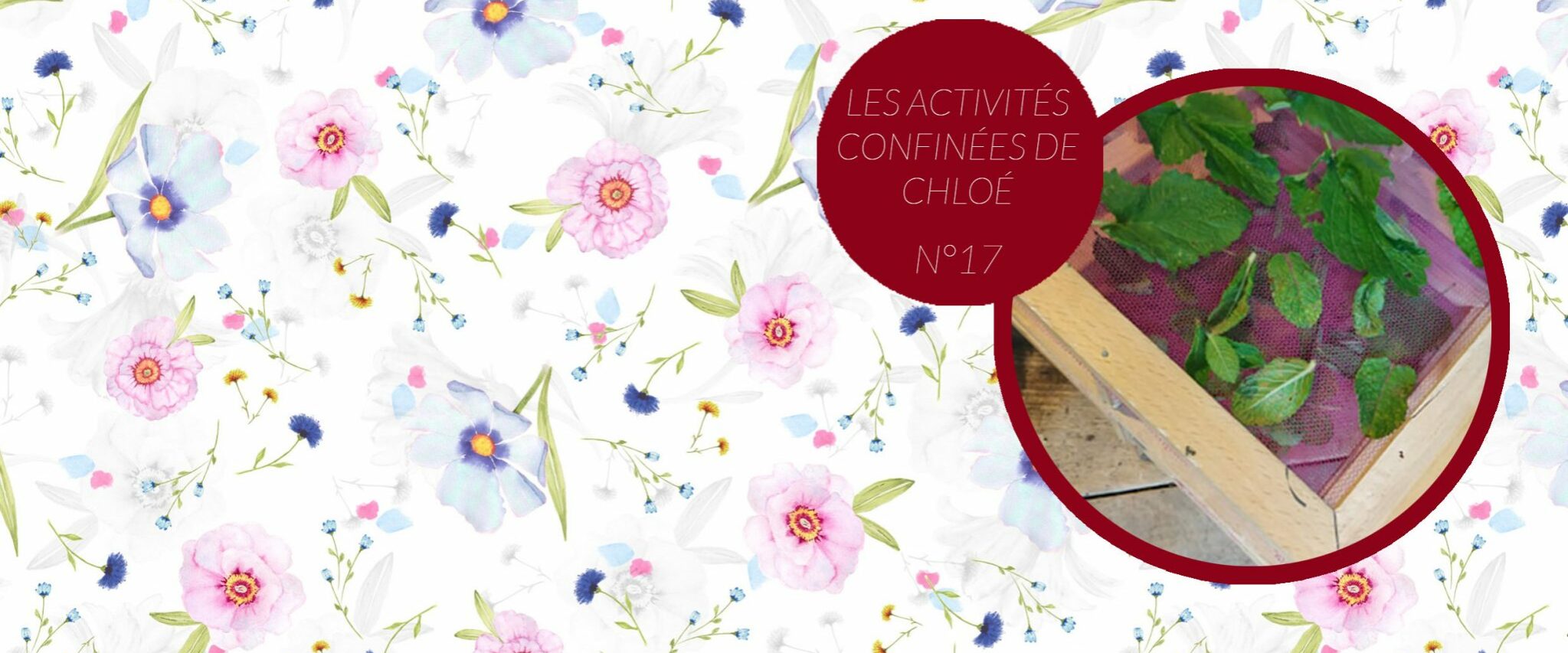 ActivitesCHLOE-17-2048×859