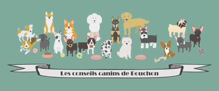 CC_Bouchon1-2048×859