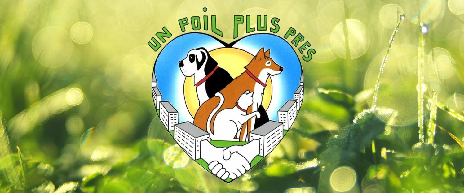 Un-poil-plus-près-cover-copie-2048×624