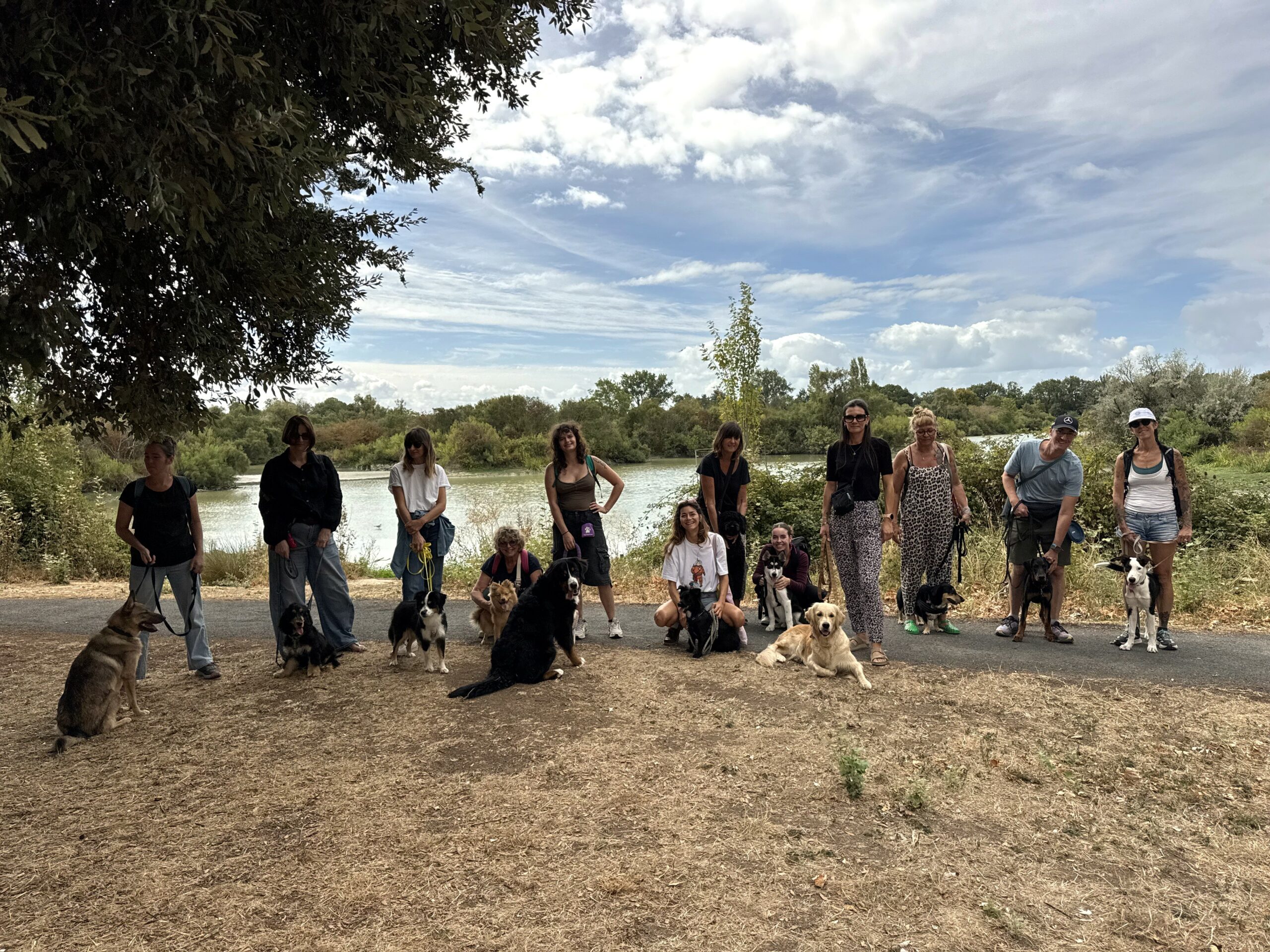 Balade collective organisée par DIAGONALES avec plusieurs propriétaires et leurs chiens